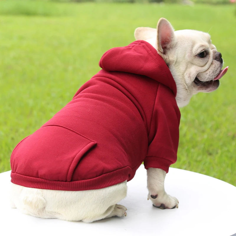 Casaco com Capuz para Cachorro – Roupa de Inverno Quentinha e Estilosa para Pets Pequenos | Moda Outono/Inverno