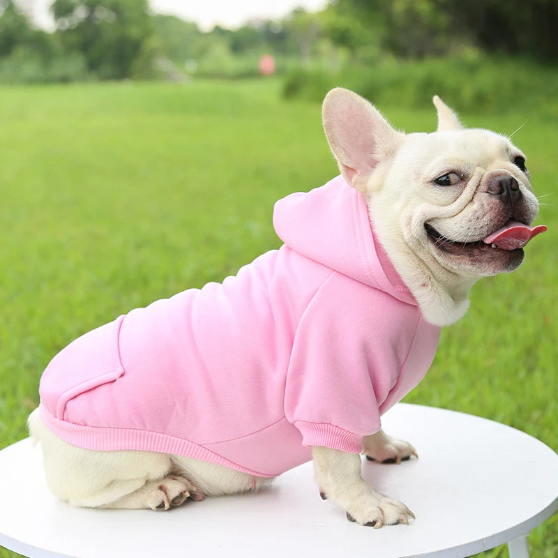 Casaco com Capuz para Cachorro – Roupa de Inverno Quentinha e Estilosa para Pets Pequenos | Moda Outono/Inverno