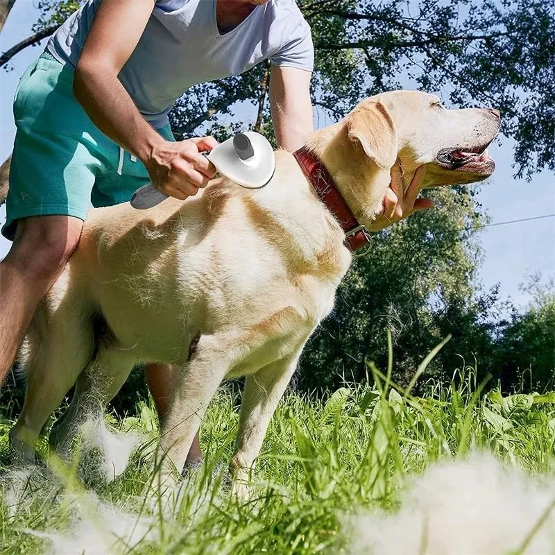 Escova Autolimpante Removedora de Pelos para Cães e Gatos – Desembaraça, Remove e Massageia com Praticidade