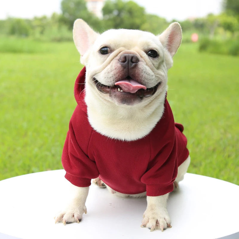 Casaco com Capuz para Cachorro – Roupa de Inverno Quentinha e Estilosa para Pets Pequenos | Moda Outono/Inverno