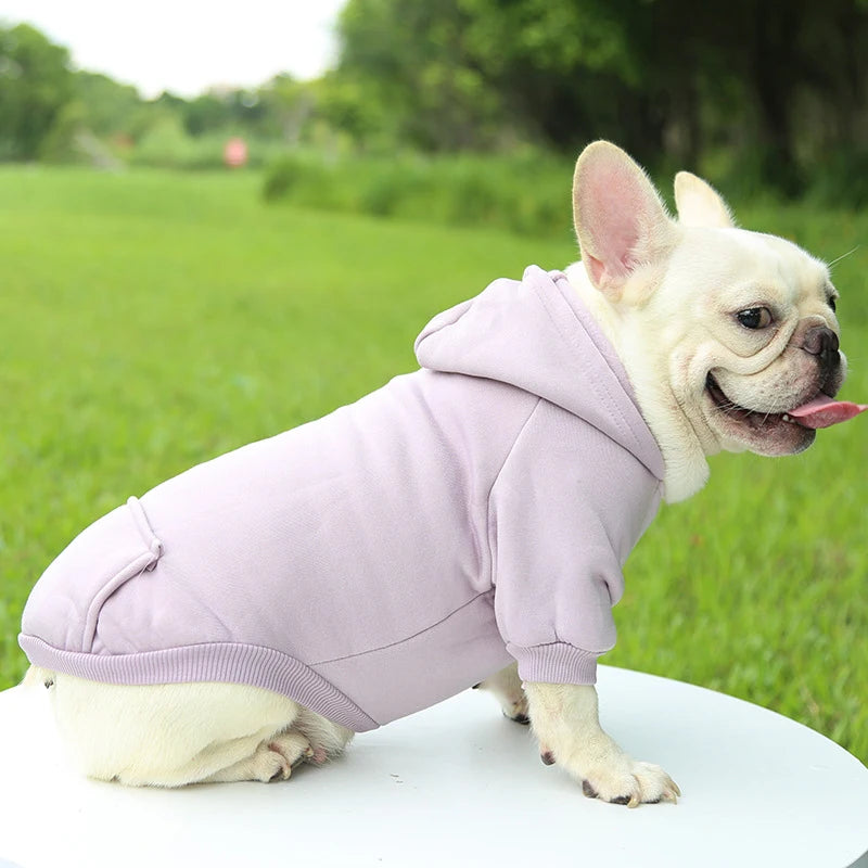 Casaco com Capuz para Cachorro – Roupa de Inverno Quentinha e Estilosa para Pets Pequenos | Moda Outono/Inverno