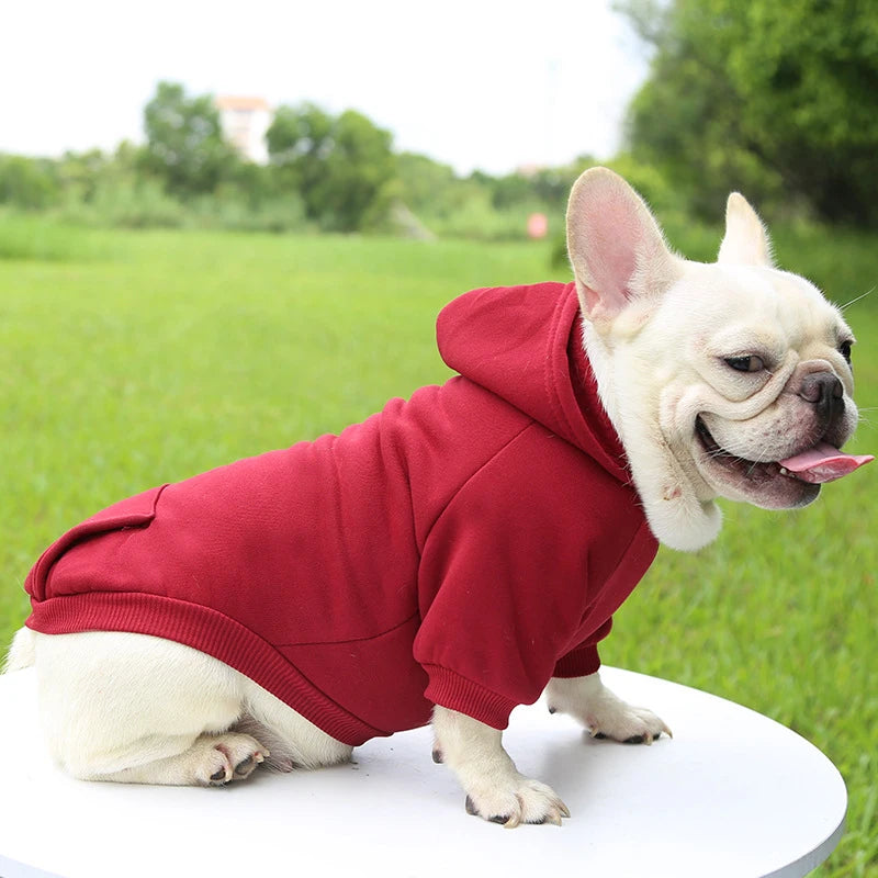 Casaco com Capuz para Cachorro – Roupa de Inverno Quentinha e Estilosa para Pets Pequenos | Moda Outono/Inverno