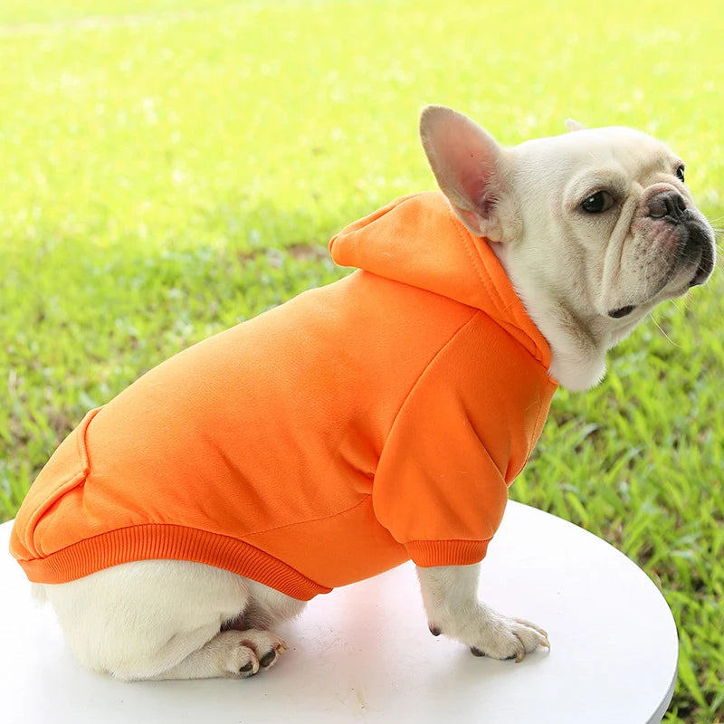 Casaco com Capuz para Cachorro – Roupa de Inverno Quentinha e Estilosa para Pets Pequenos | Moda Outono/Inverno