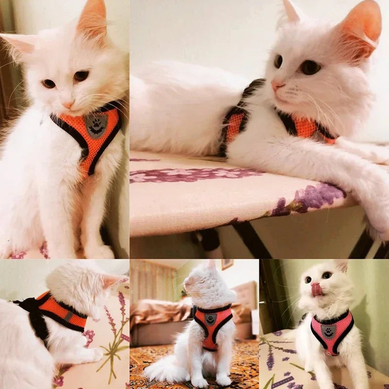 Colete Peitoral Ajustável com Guia para Gatos e Cães de Pequeno Porte – Malha Respirável e Tecido Refletivo