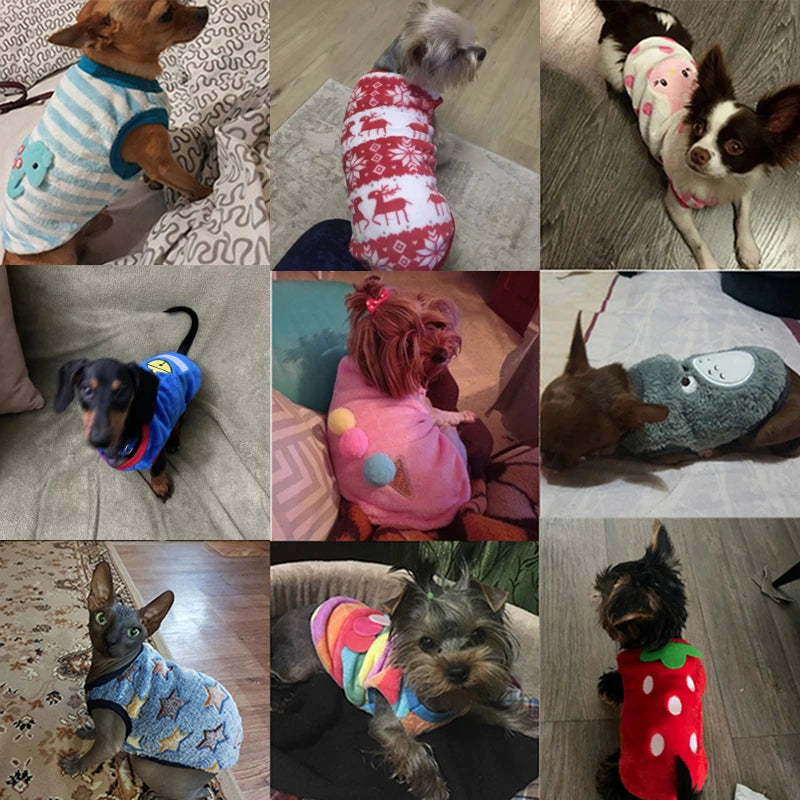 Colete de Inverno em Flanela para Cães e Gatos Pequenos – Roupa Quentinha, Macia e Estilosa | XXS ao M