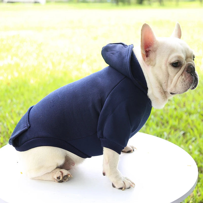 Casaco com Capuz para Cachorro – Roupa de Inverno Quentinha e Estilosa para Pets Pequenos | Moda Outono/Inverno
