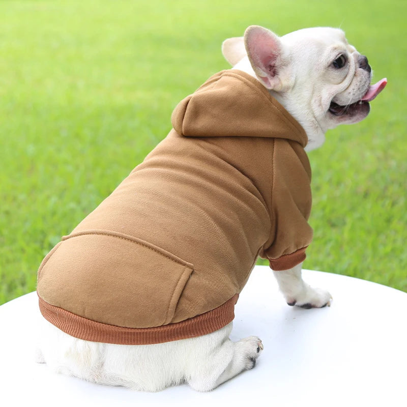 Casaco com Capuz para Cachorro – Roupa de Inverno Quentinha e Estilosa para Pets Pequenos | Moda Outono/Inverno