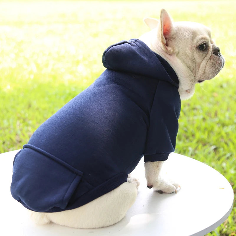 Casaco com Capuz para Cachorro – Roupa de Inverno Quentinha e Estilosa para Pets Pequenos | Moda Outono/Inverno