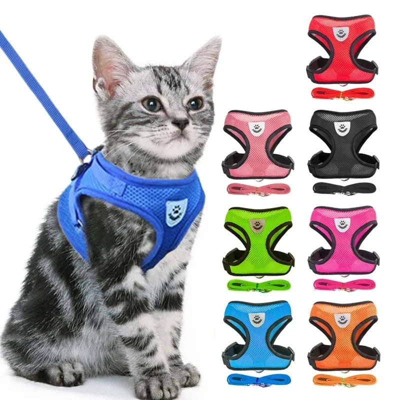 Colete Peitoral Ajustável com Guia para Gatos e Cães de Pequeno Porte – Malha Respirável e Tecido Refletivo