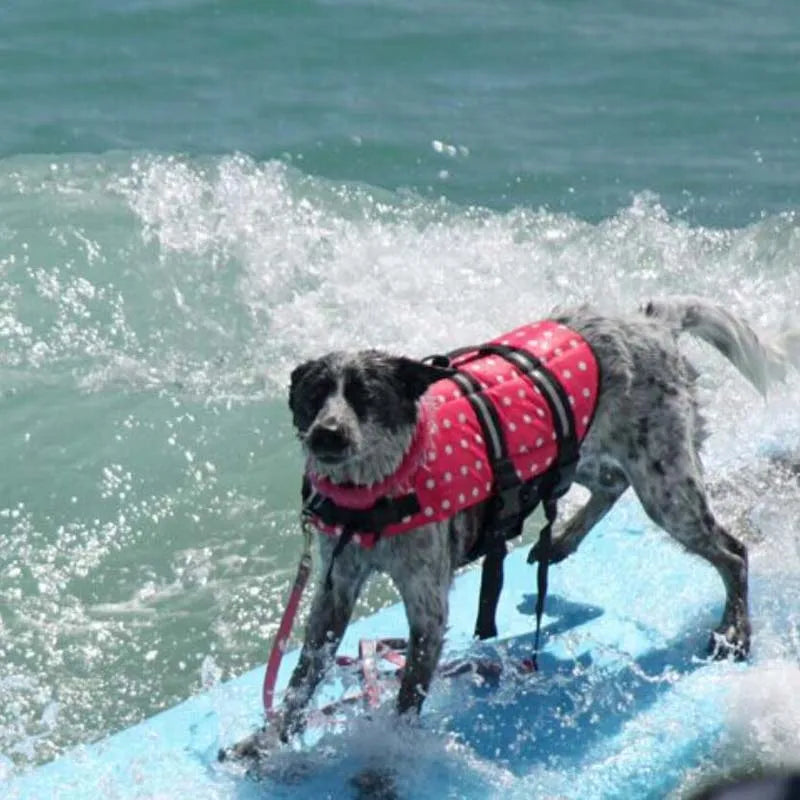 Colete Salva-Vidas para Cachorros – Seguro, Confortável e Estiloso para o Verão!