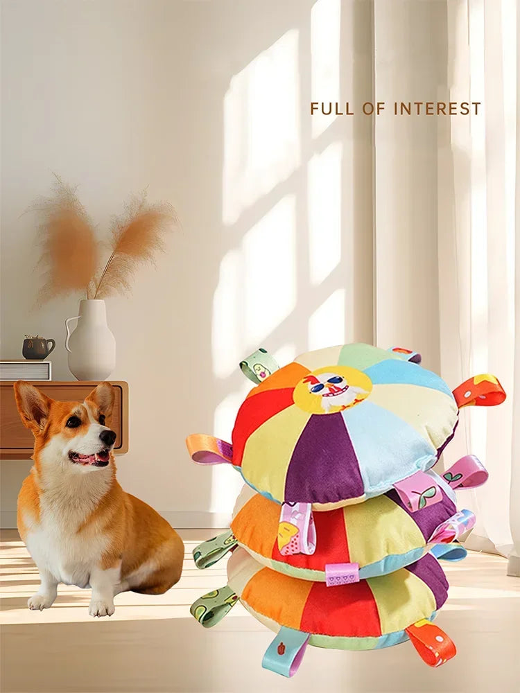 Disco Voador Arco-Íris Divertido – Brinquedo Interativo para Cães