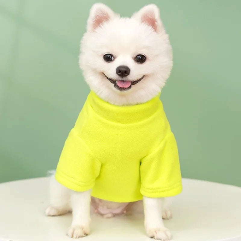Moletom com Capuz para Cães e Gatos – Quentinho, Confortável e Estiloso | Ideal para o Inverno