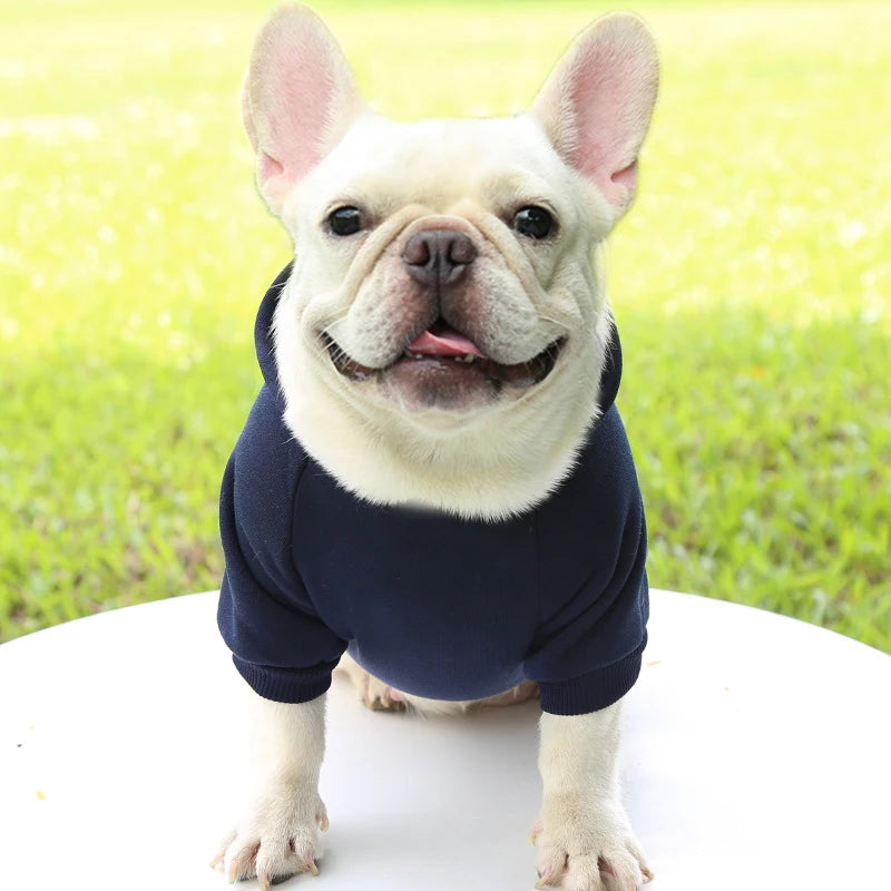 Casaco com Capuz para Cachorro – Roupa de Inverno Quentinha e Estilosa para Pets Pequenos | Moda Outono/Inverno
