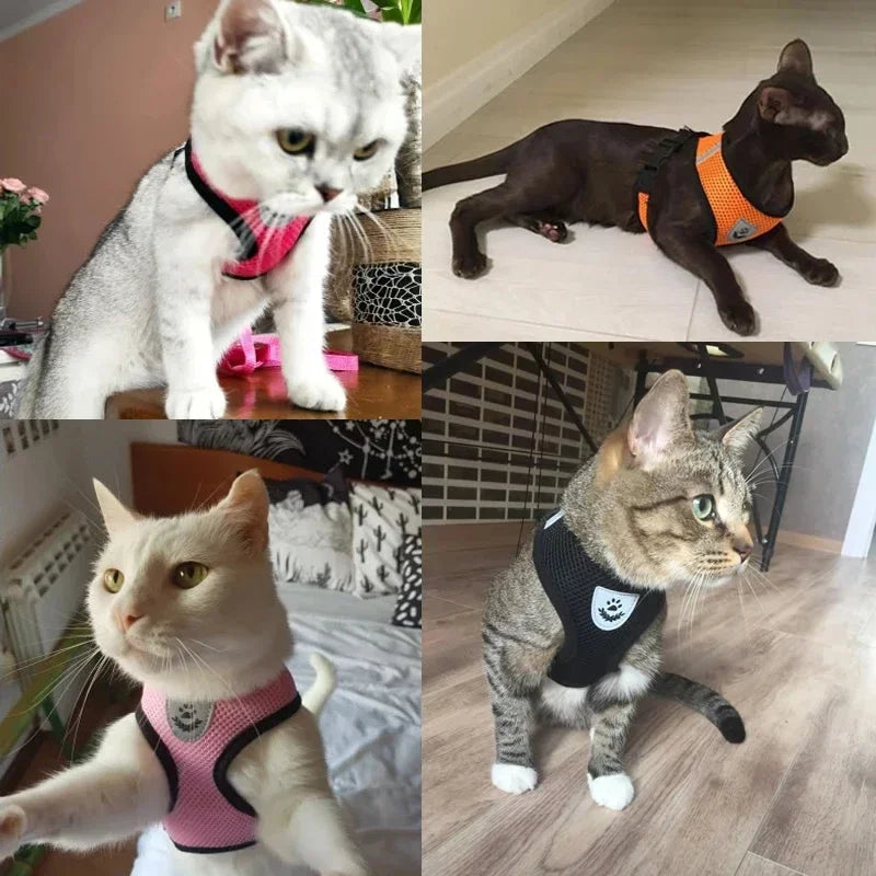 Colete Peitoral Ajustável com Guia para Gatos e Cães de Pequeno Porte – Malha Respirável e Tecido Refletivo