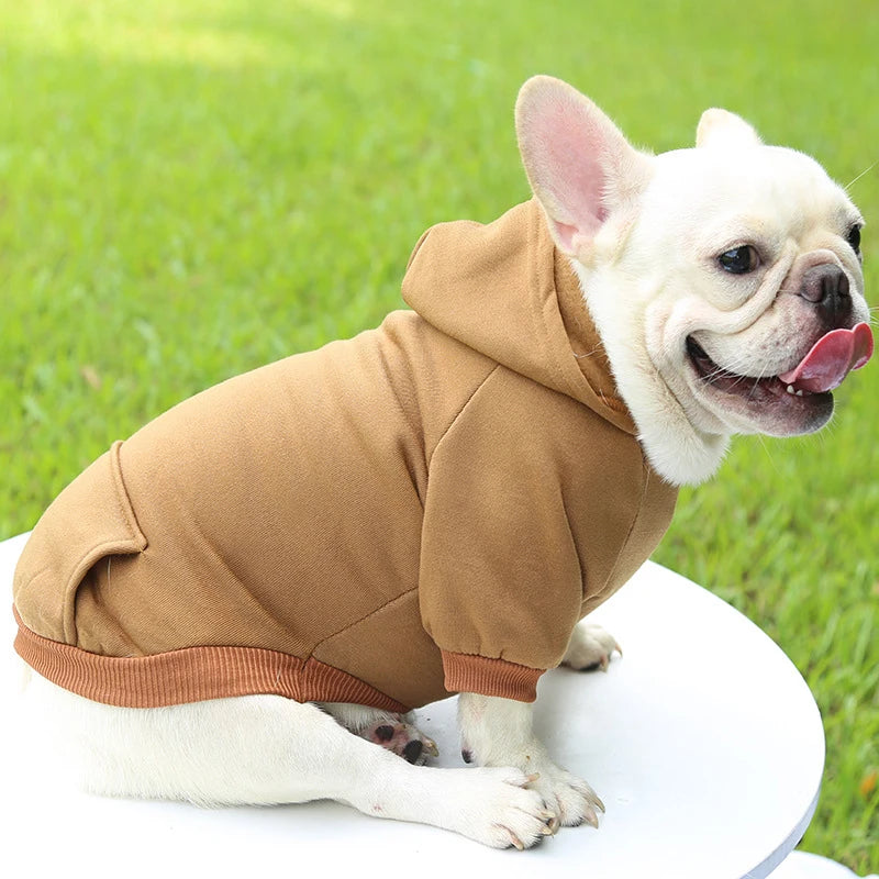 Casaco com Capuz para Cachorro – Roupa de Inverno Quentinha e Estilosa para Pets Pequenos | Moda Outono/Inverno
