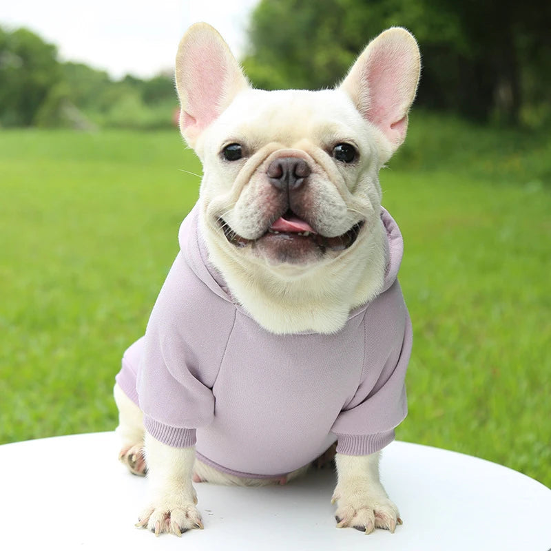 Casaco com Capuz para Cachorro – Roupa de Inverno Quentinha e Estilosa para Pets Pequenos | Moda Outono/Inverno