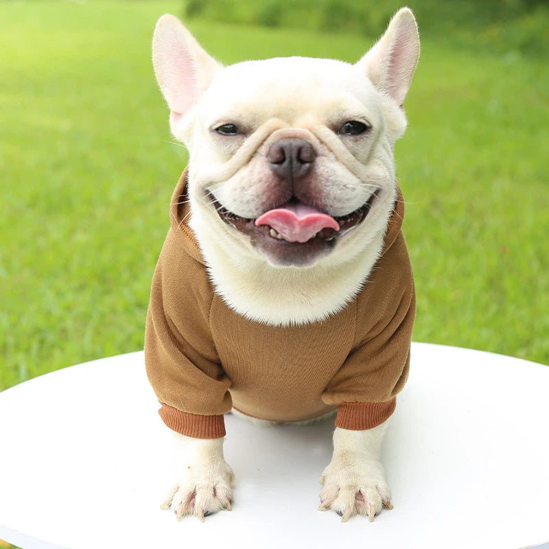 Casaco com Capuz para Cachorro – Roupa de Inverno Quentinha e Estilosa para Pets Pequenos | Moda Outono/Inverno