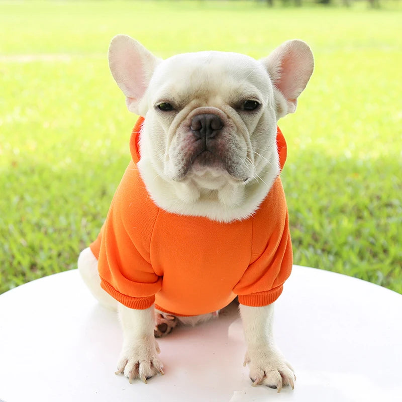 Casaco com Capuz para Cachorro – Roupa de Inverno Quentinha e Estilosa para Pets Pequenos | Moda Outono/Inverno