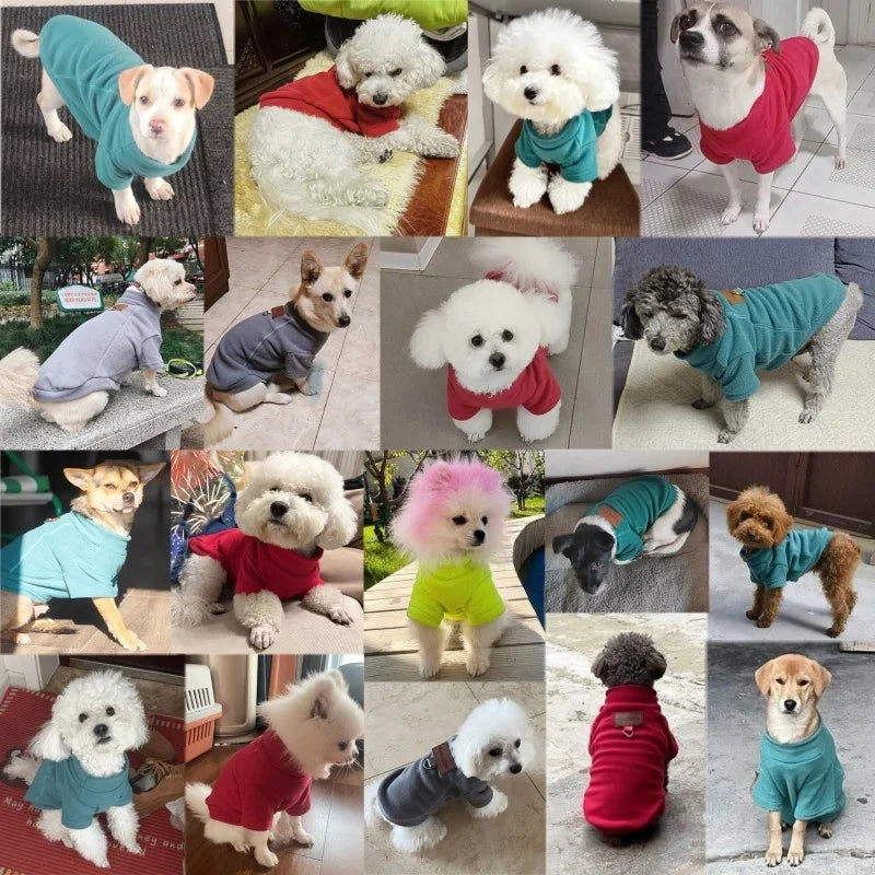 Moletom com Capuz para Cães e Gatos – Quentinho, Confortável e Estiloso | Ideal para o Inverno