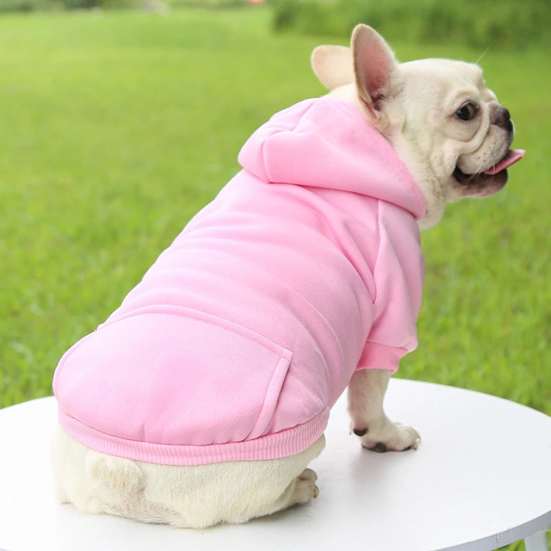 Casaco com Capuz para Cachorro – Roupa de Inverno Quentinha e Estilosa para Pets Pequenos | Moda Outono/Inverno