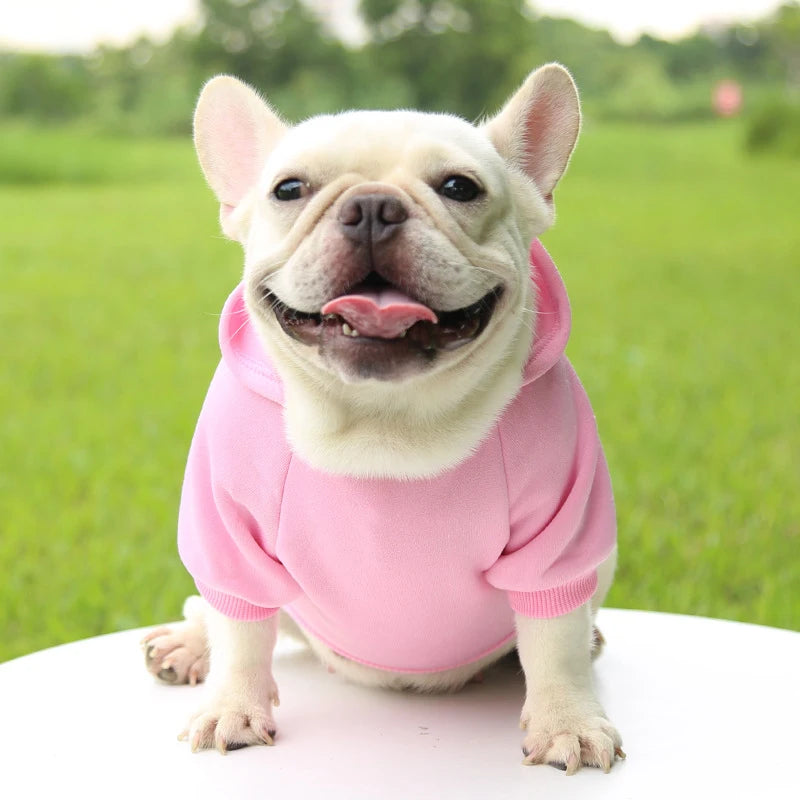 Casaco com Capuz para Cachorro – Roupa de Inverno Quentinha e Estilosa para Pets Pequenos | Moda Outono/Inverno