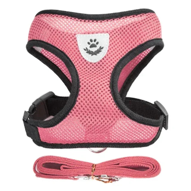 Colete Peitoral Ajustável com Guia para Gatos e Cães de Pequeno Porte – Malha Respirável e Tecido Refletivo