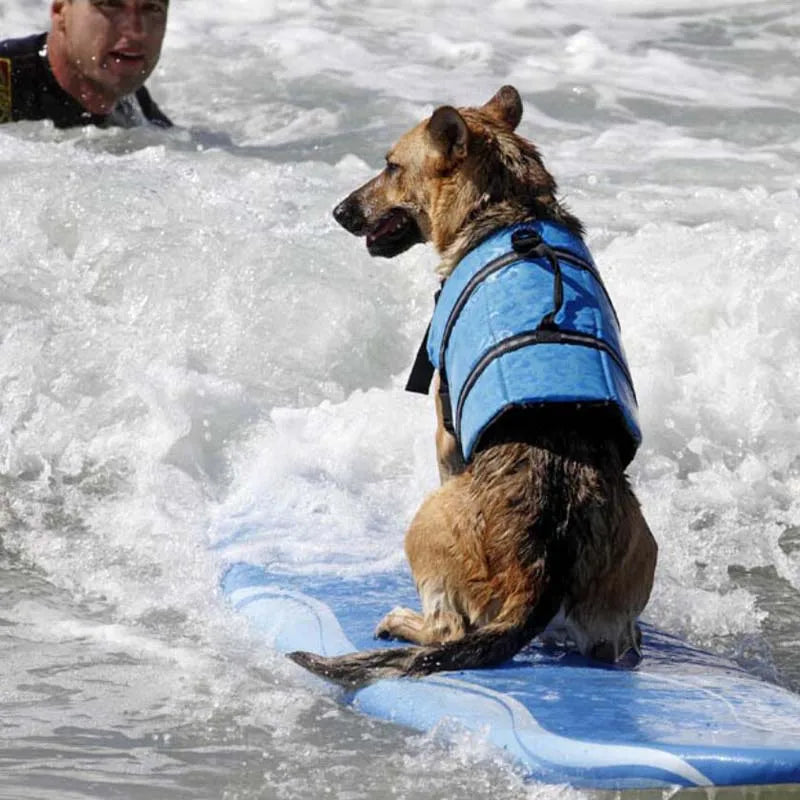 Colete Salva-Vidas para Cachorros – Seguro, Confortável e Estiloso para o Verão!