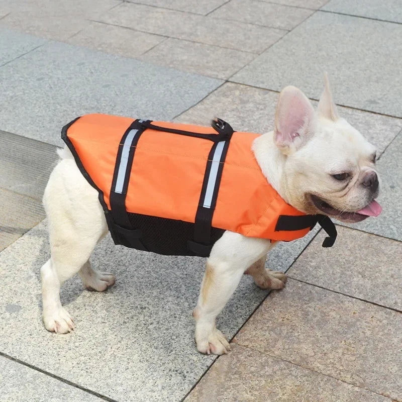 Colete Salva-Vidas para Cachorros – Seguro, Confortável e Estiloso para o Verão!