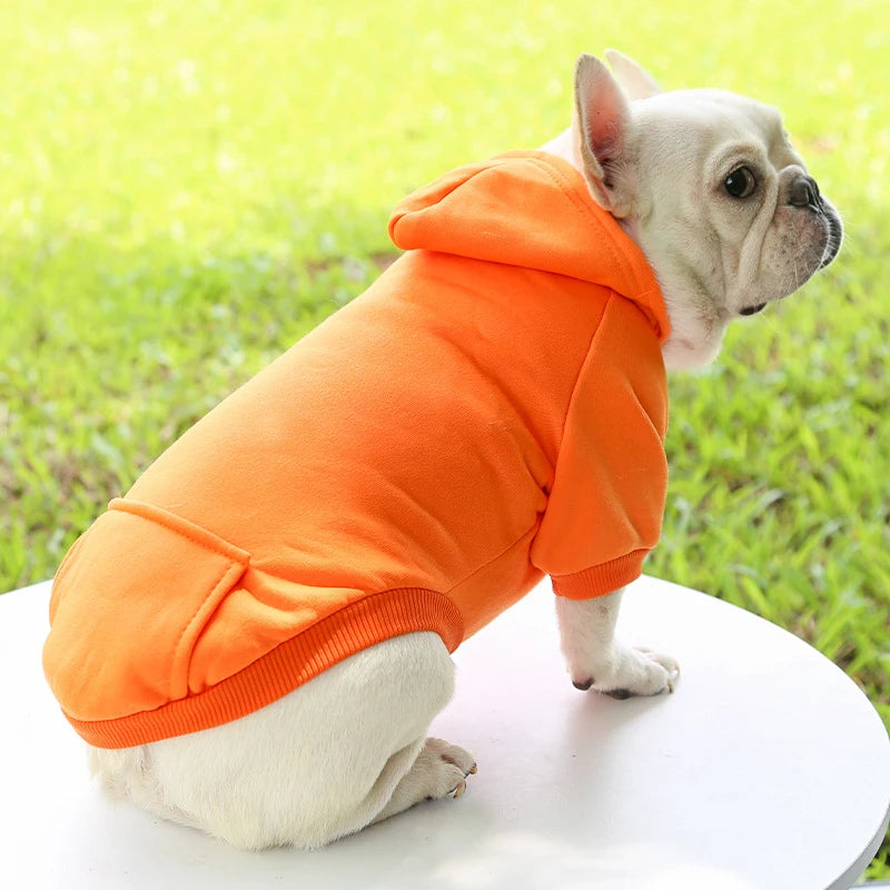 Casaco com Capuz para Cachorro – Roupa de Inverno Quentinha e Estilosa para Pets Pequenos | Moda Outono/Inverno